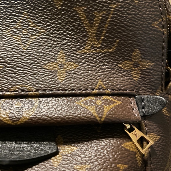 Louis Vuitton Palm Springs Mini main image 9